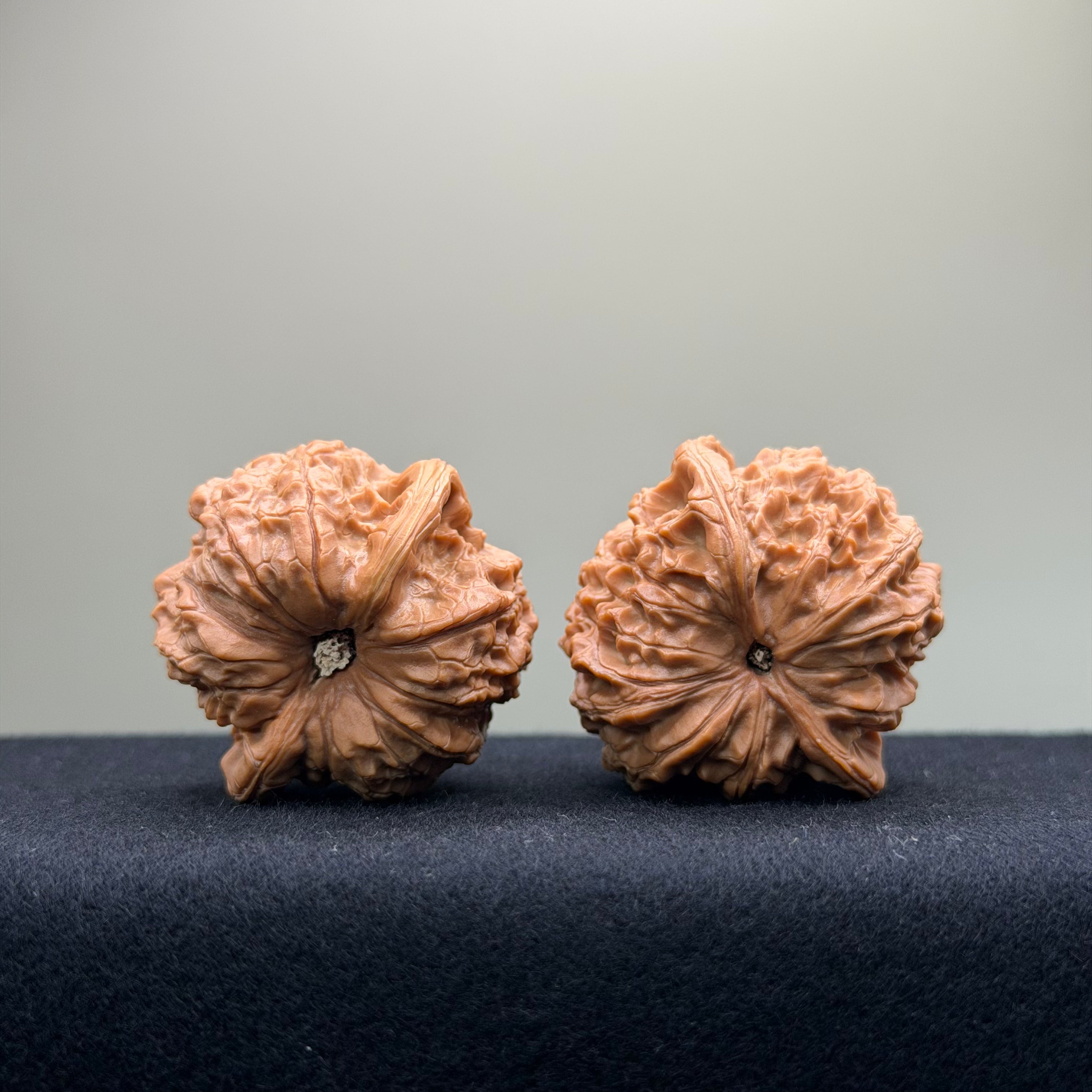 Blood Kirin Wenwan Walnut · 40mm · Entry Ritual