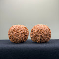Blood Kirin Wenwan Walnut · 36mm · Entry Ritual