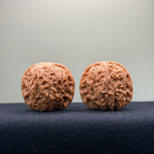 Blood Kirin Wenwan Walnut · 36mm · Entry Ritual