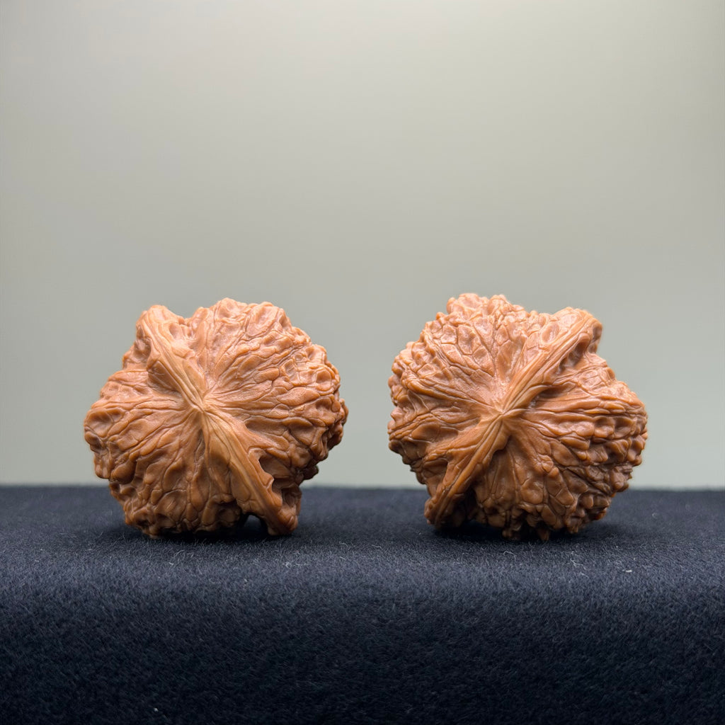 Blood Kirin Wenwan Walnut · 36mm · Entry Ritual