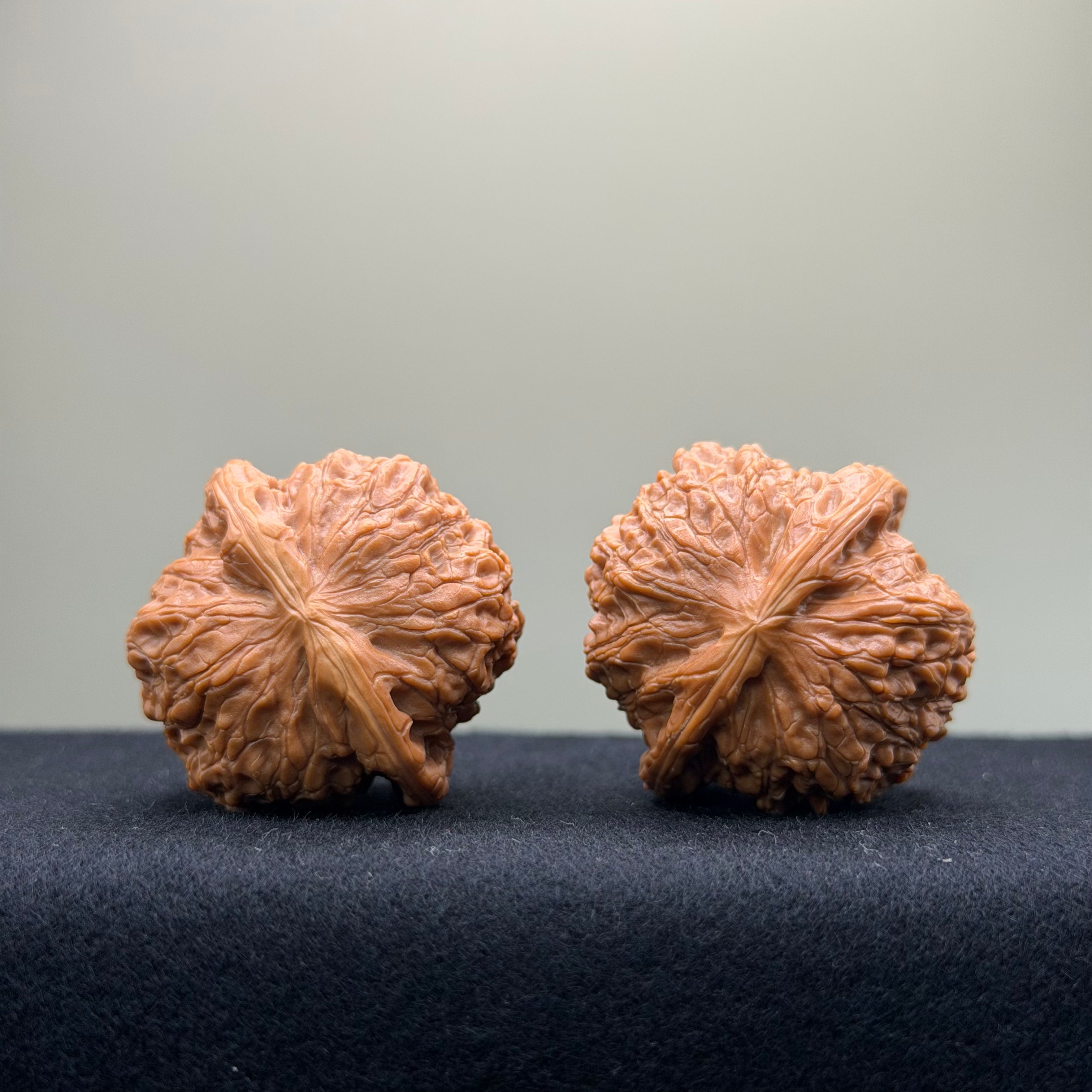 Blood Kirin Wenwan Walnut · 36mm · Entry Ritual
