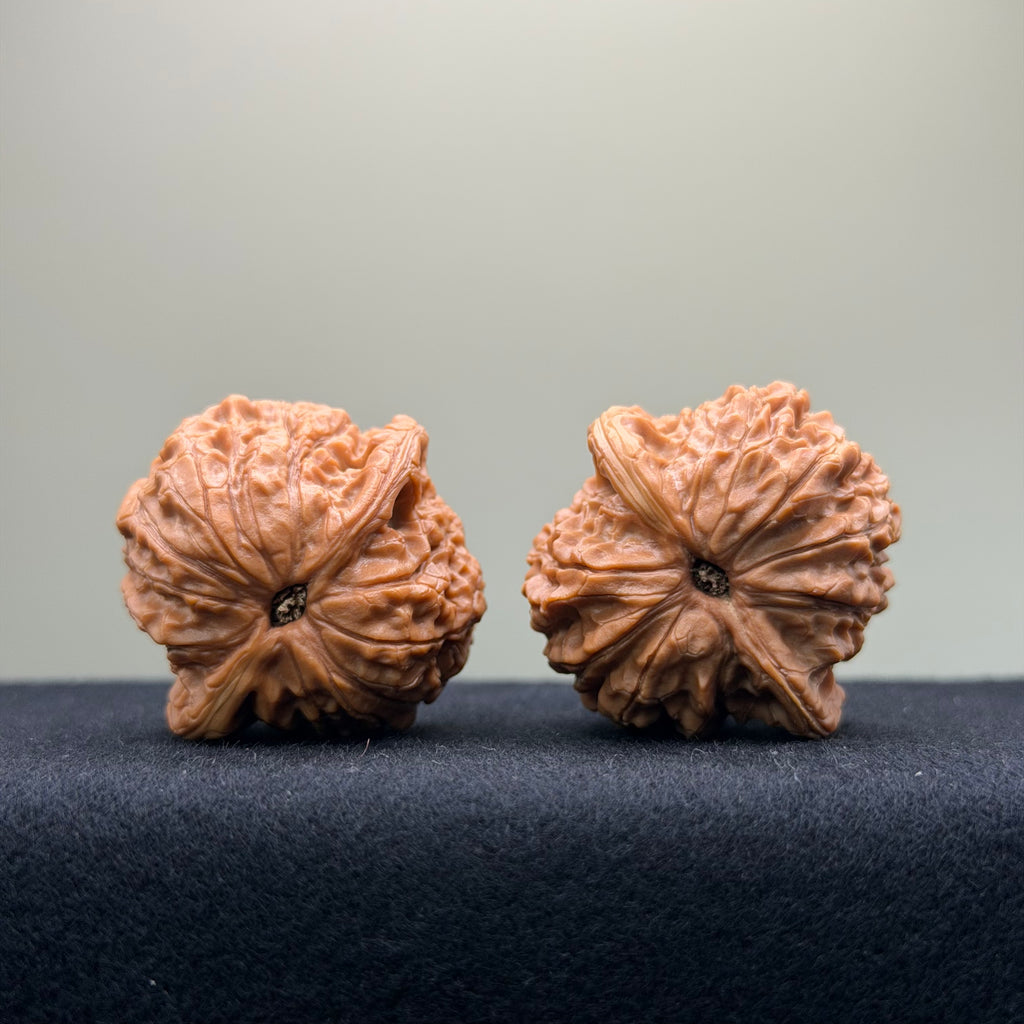 Blood Kirin Wenwan Walnut · 36mm · Entry Ritual