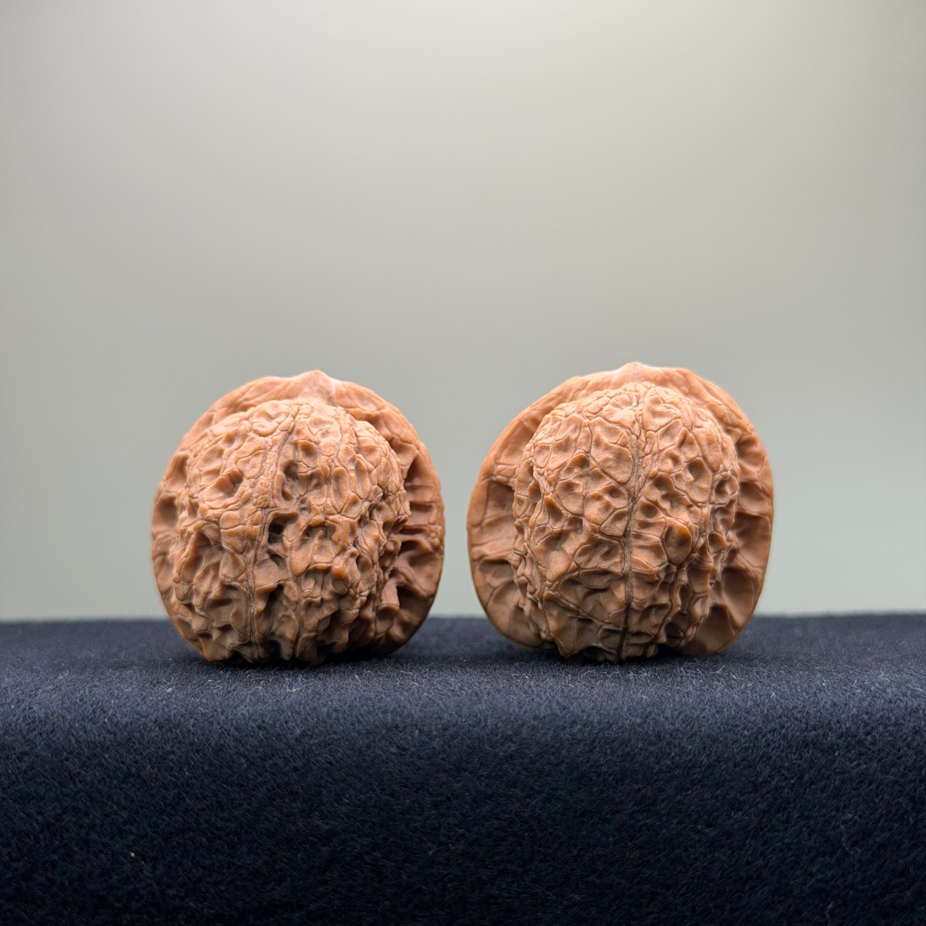 Ant Valley Wenwan Walnut · 36mm · Natural · Entry Ritual
