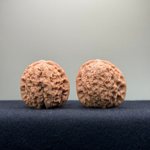 Ant Valley Wenwan Walnut · 36mm · Natural · Entry Ritual