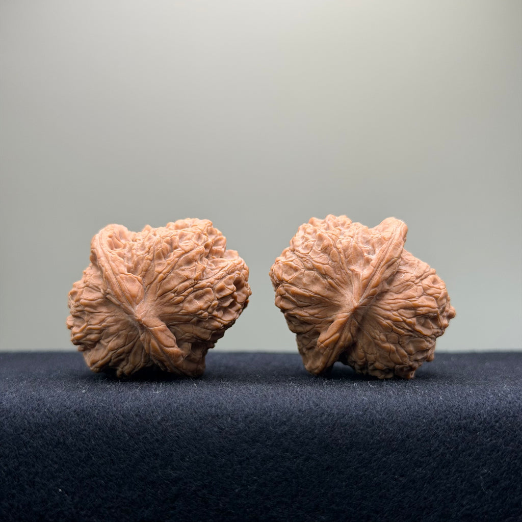 Ant Valley Wenwan Walnut · 36mm · Natural · Entry Ritual