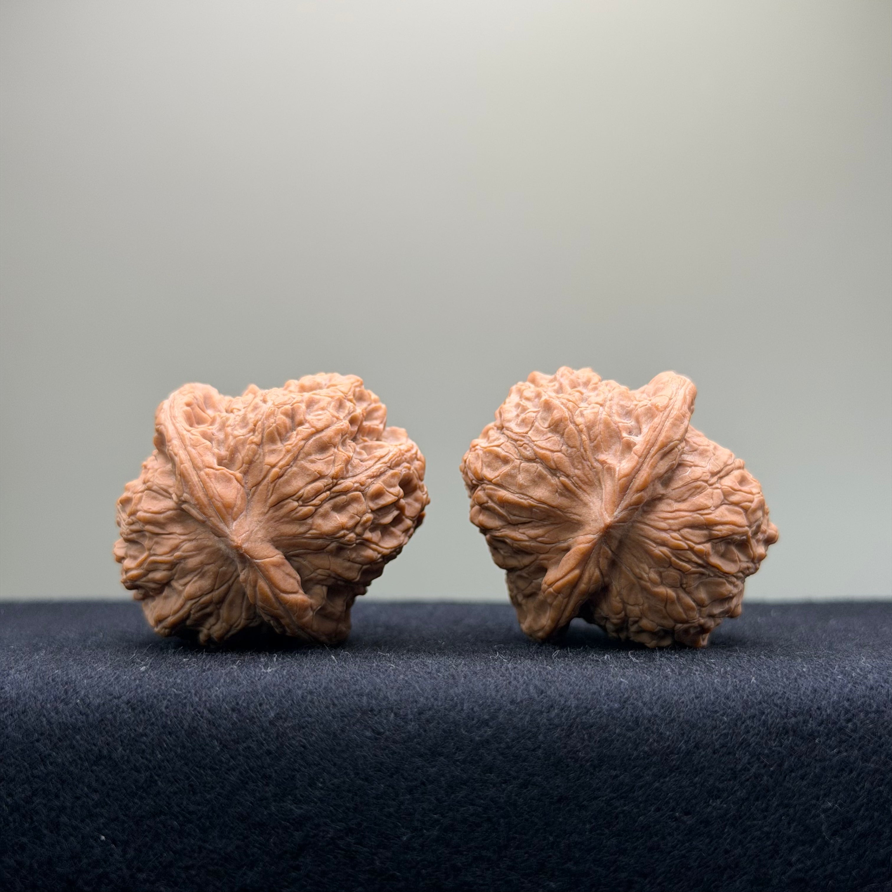 Ant Valley Wenwan Walnut · 36mm · Natural · Entry Ritual