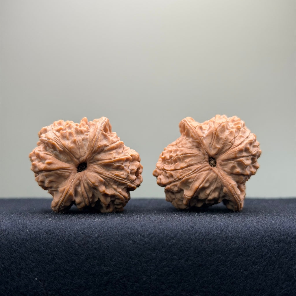 Ant Valley Wenwan Walnut · 36mm · Natural · Entry Ritual