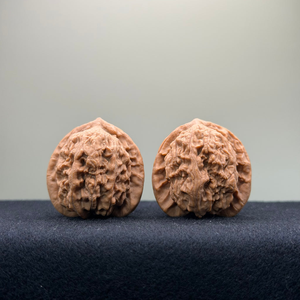 Ant Valley Wenwan Walnut · 35mm · Natural · Entry Ritual