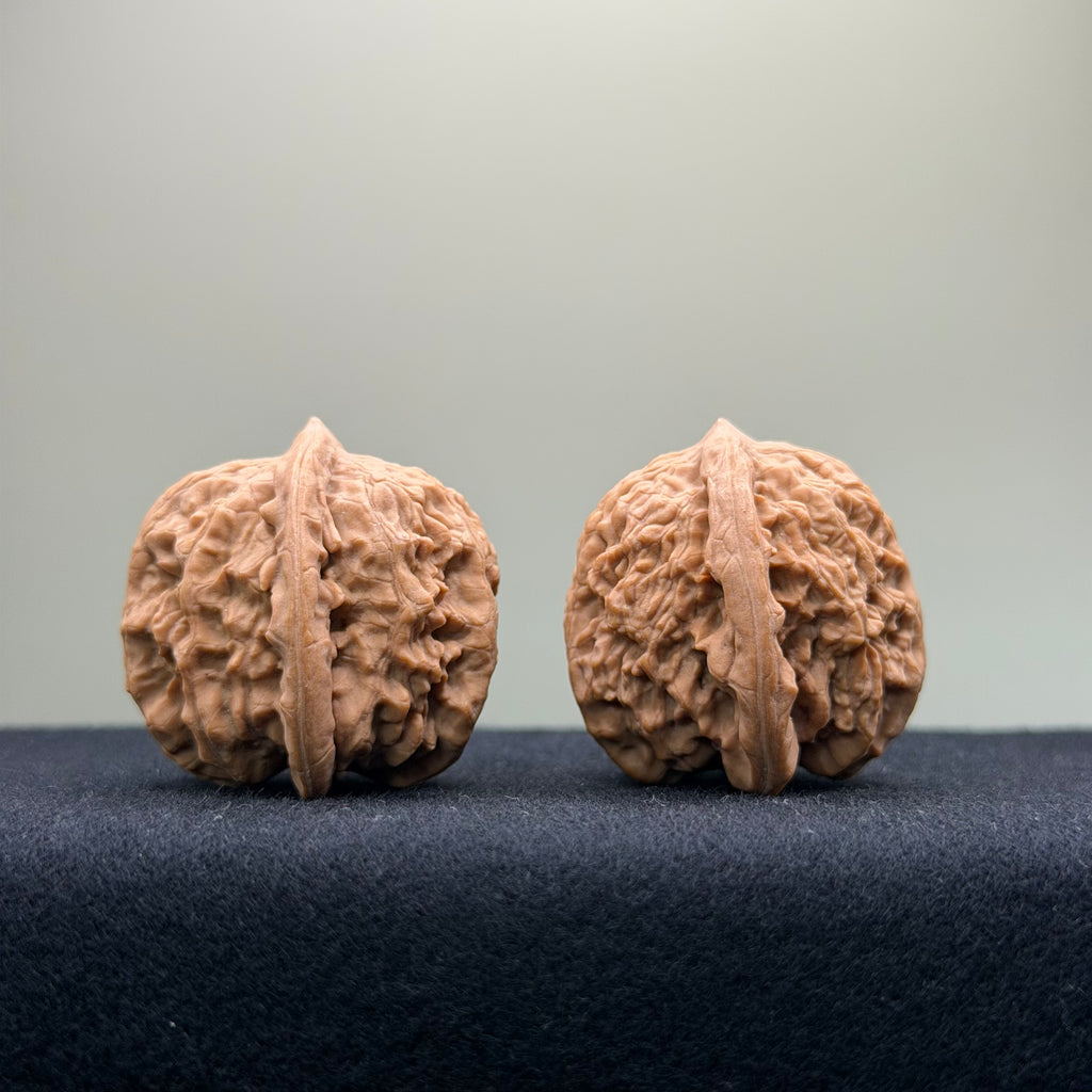 Ant Valley Wenwan Walnut · 35mm · Natural · Entry Ritual