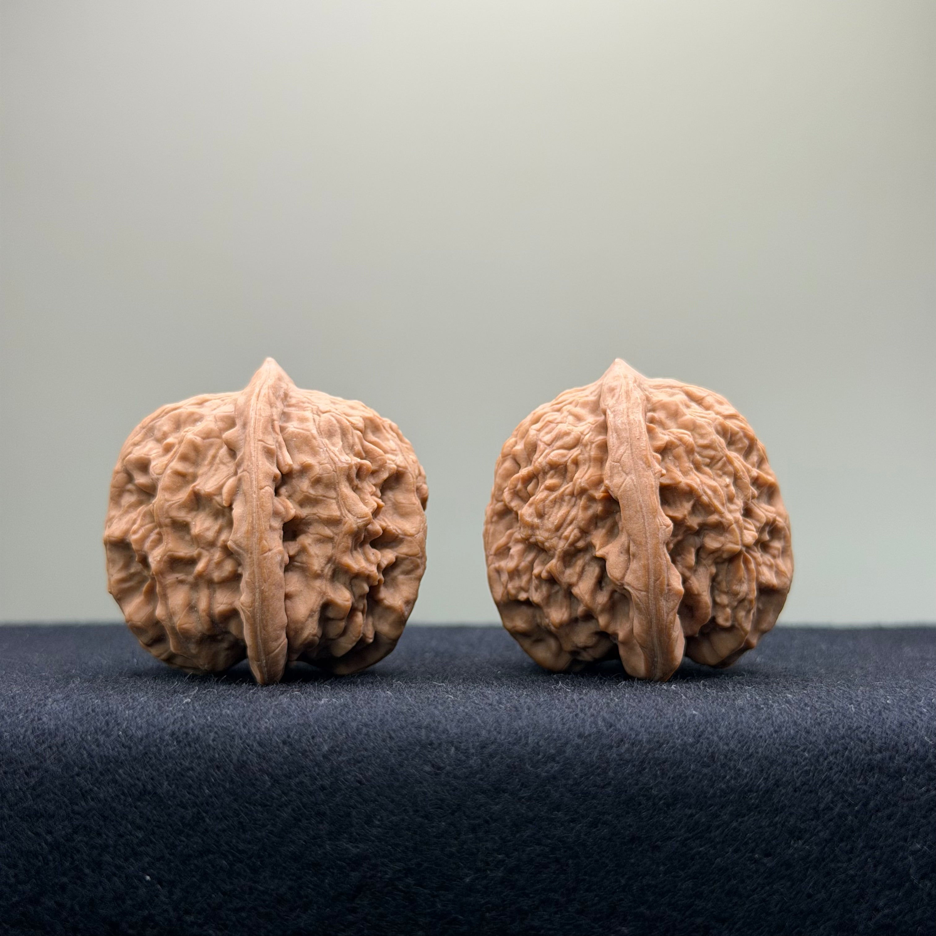 Ant Valley Wenwan Walnut · 35mm · Natural · Entry Ritual