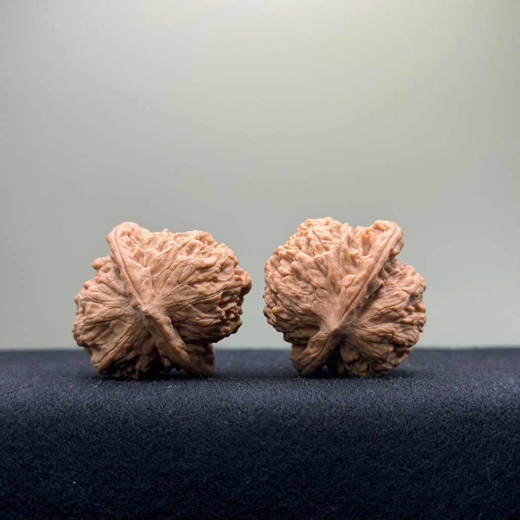 Ant Valley Wenwan Walnut · 35mm · Natural · Entry Ritual