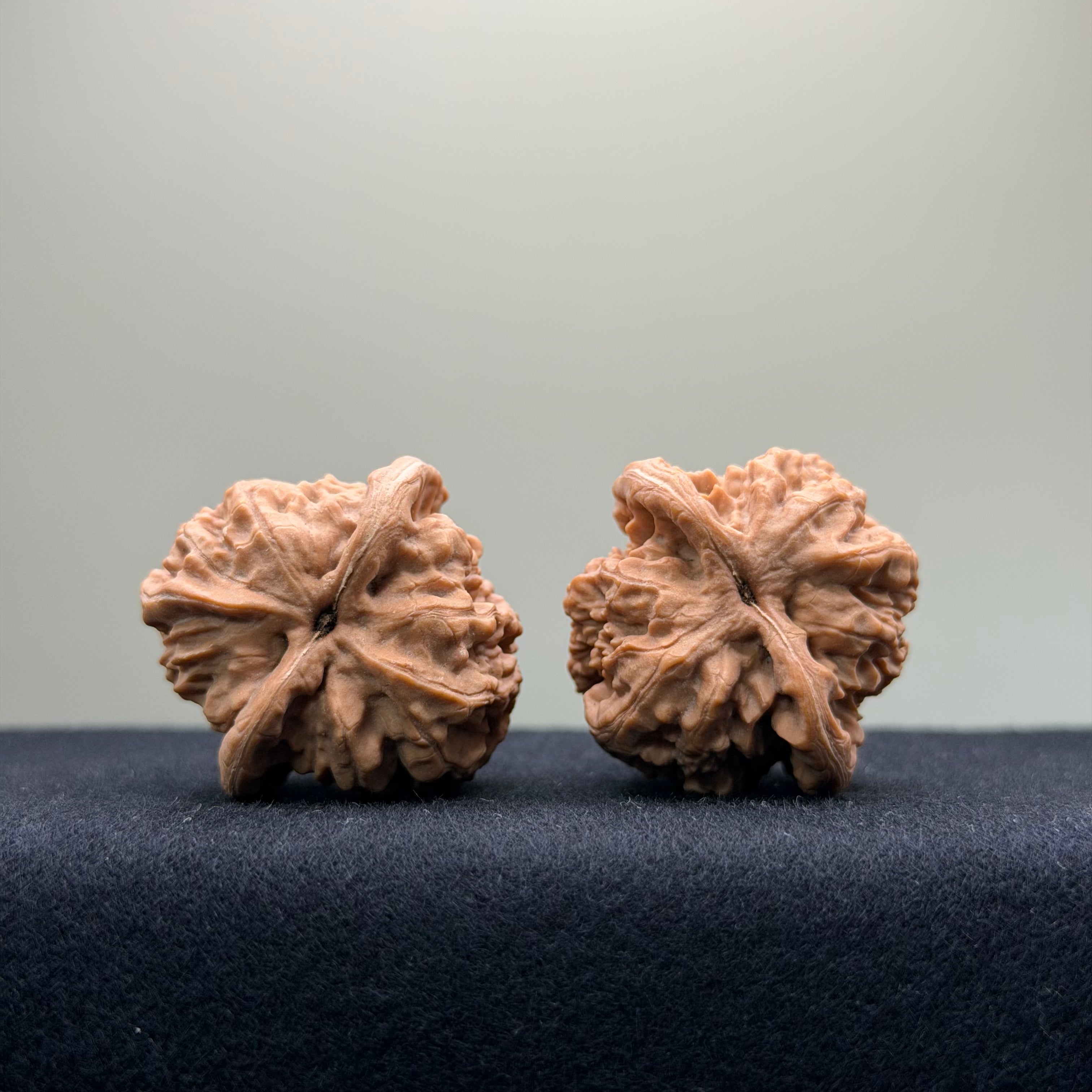 Ant Valley Wenwan Walnut · 35mm · Natural · Entry Ritual