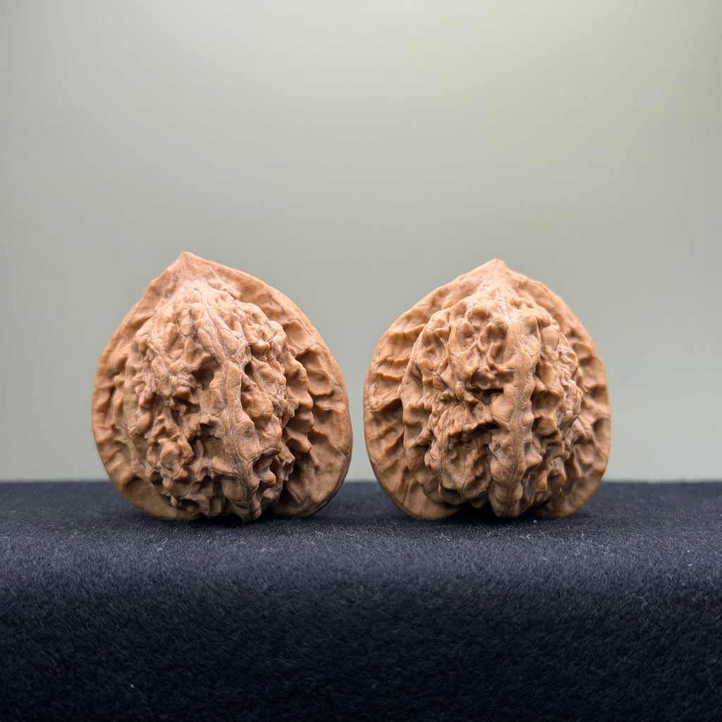 Ant Valley Wenwan Walnut · 38mm · Natural · Entry Ritual