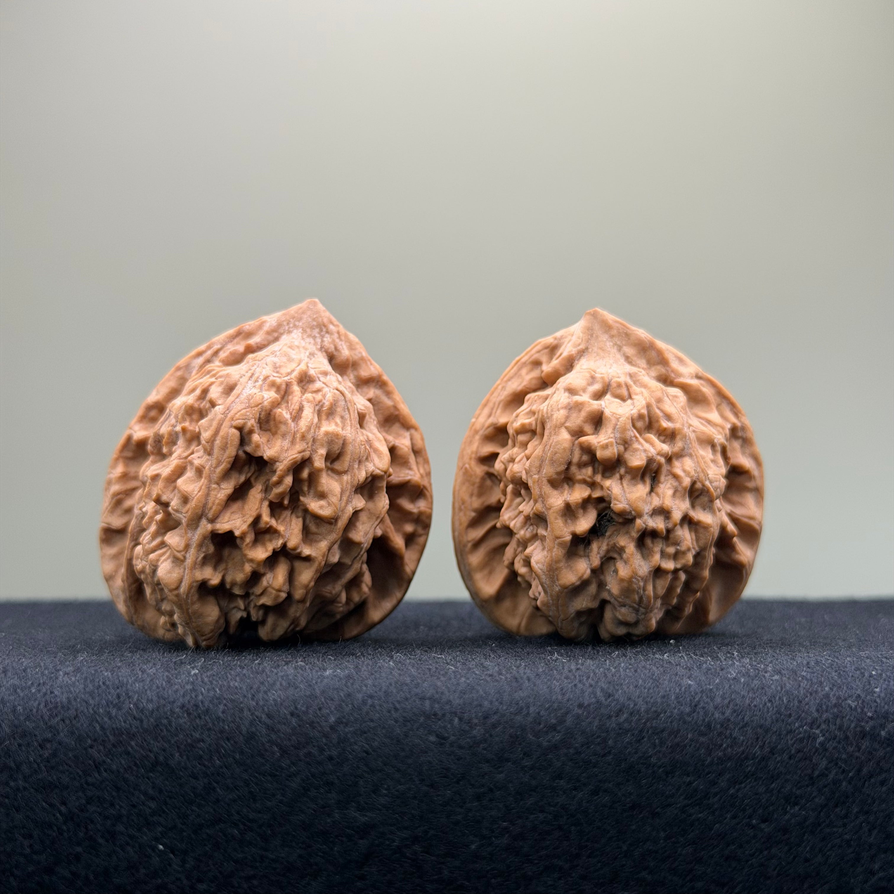 Ant Valley Wenwan Walnut · 38mm · Natural · Entry Ritual