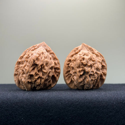 Ant Valley Wenwan Walnut · 38mm · Natural · Entry Ritual