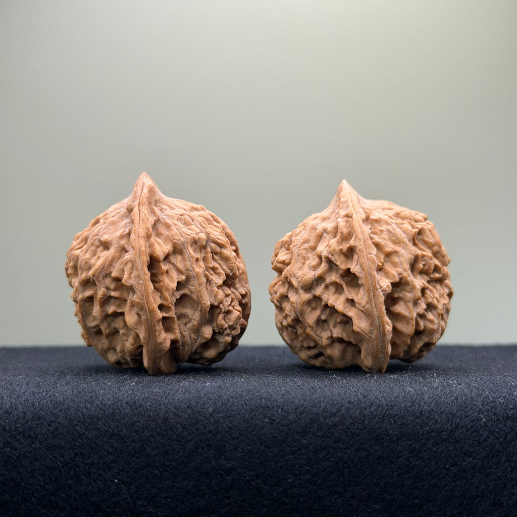 Ant Valley Wenwan Walnut · 38mm · Natural · Entry Ritual