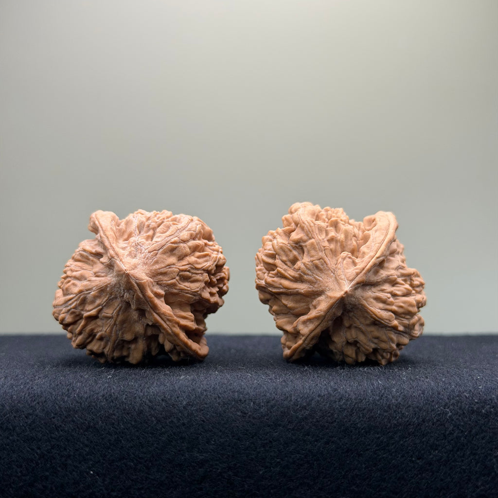 Ant Valley Wenwan Walnut · 38mm · Natural · Entry Ritual
