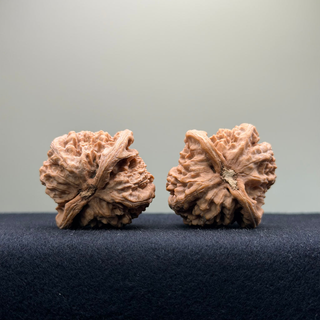 Ant Valley Wenwan Walnut · 38mm · Natural · Entry Ritual