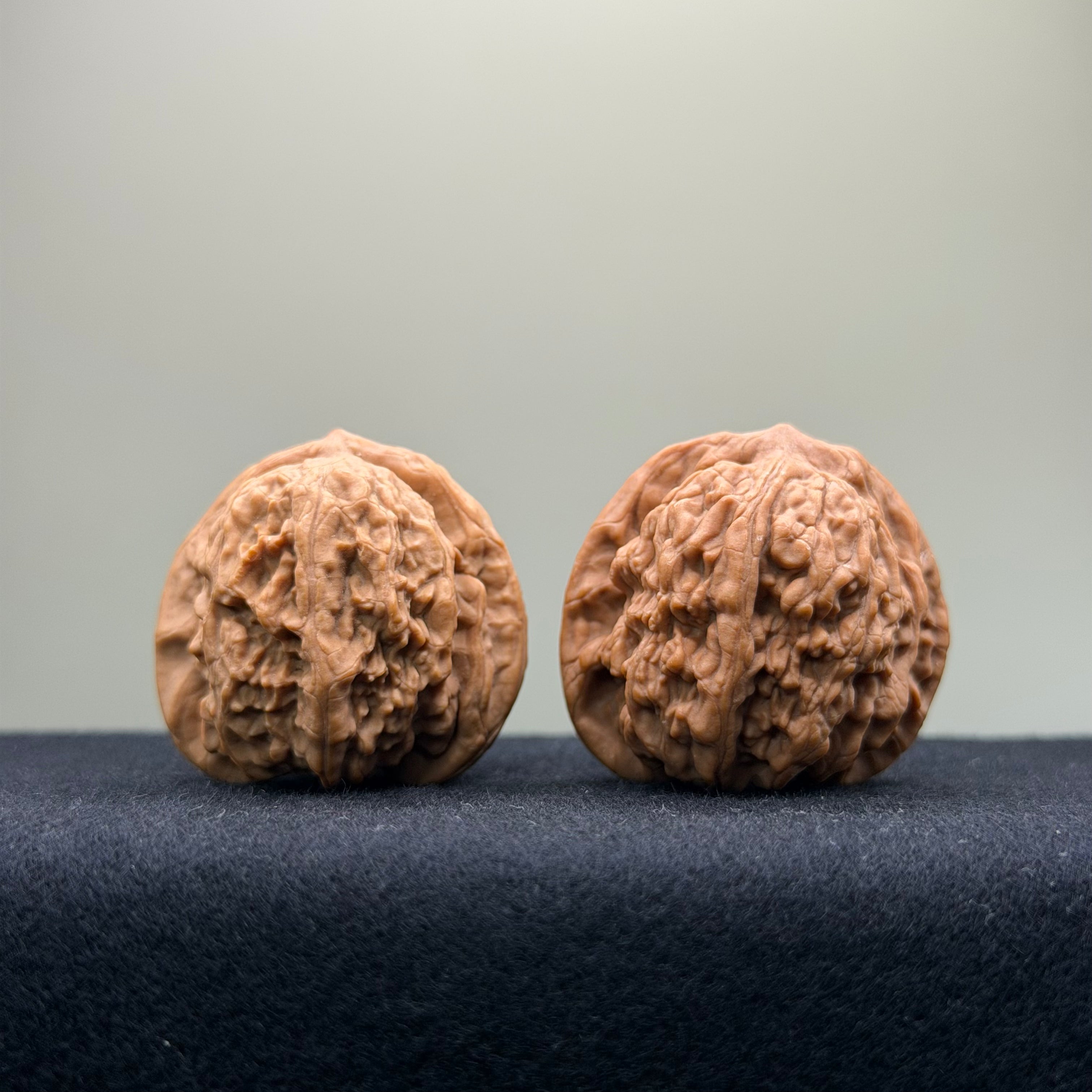 Ant Valley Wenwan Walnut · 36mm · Natural · Entry Ritual