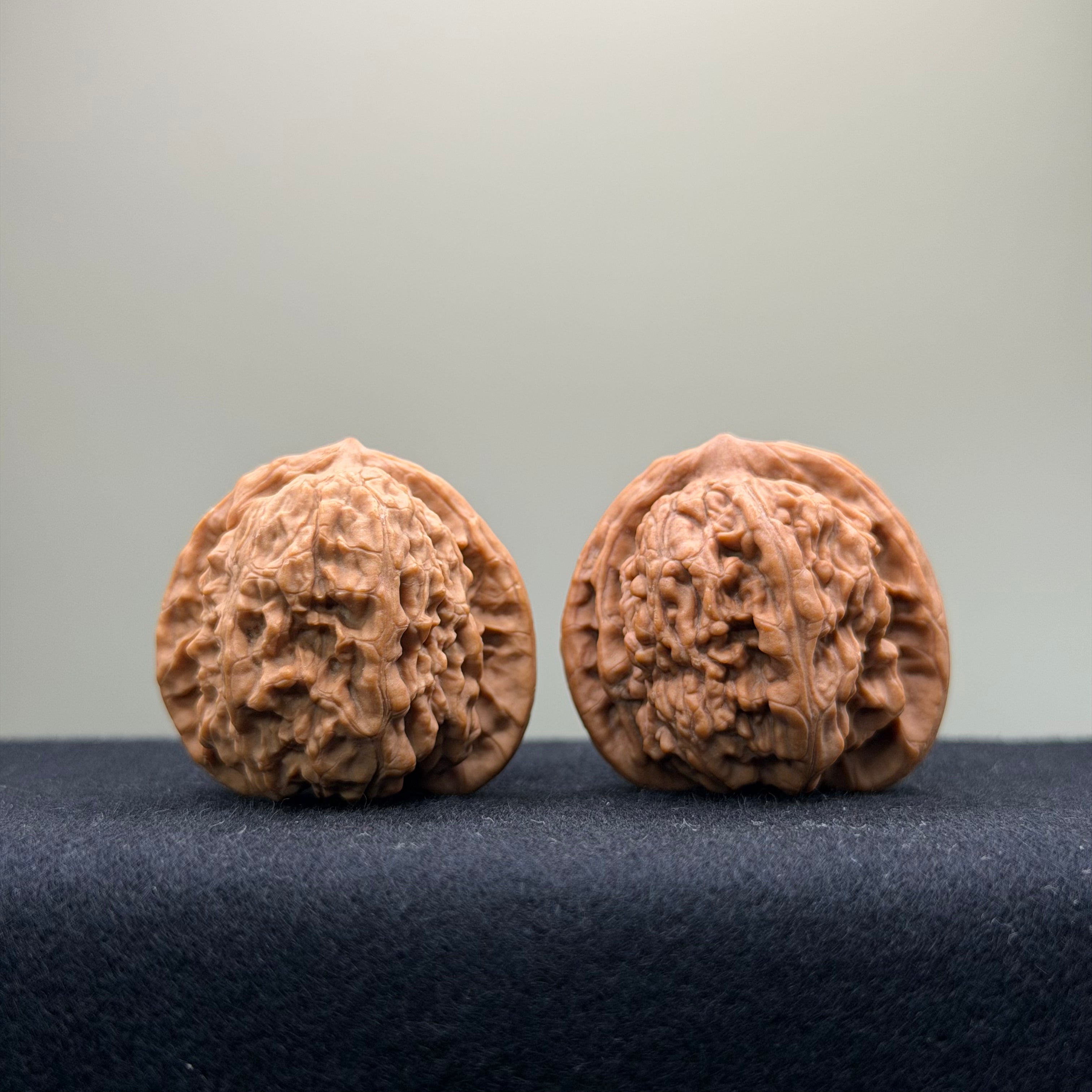 Ant Valley Wenwan Walnut · 36mm · Natural · Entry Ritual