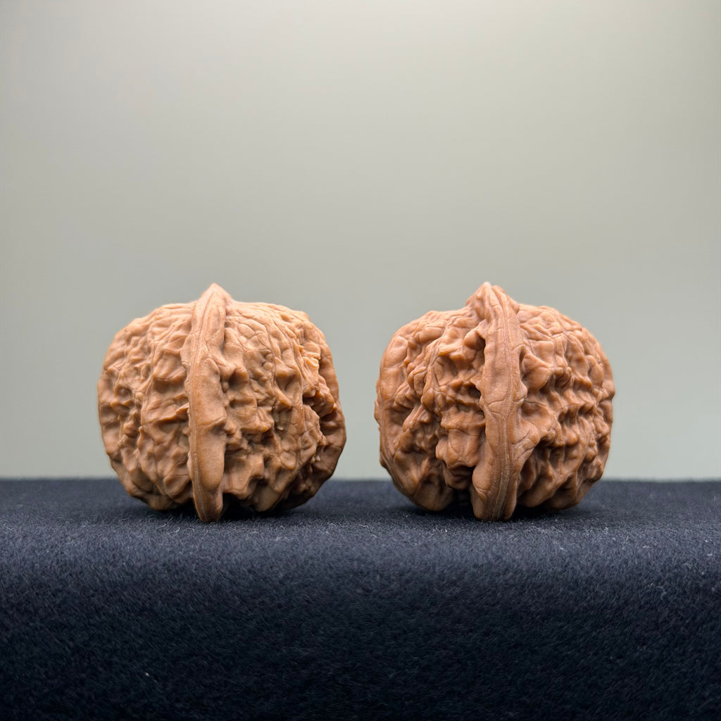 Ant Valley Wenwan Walnut · 36mm · Natural · Entry Ritual