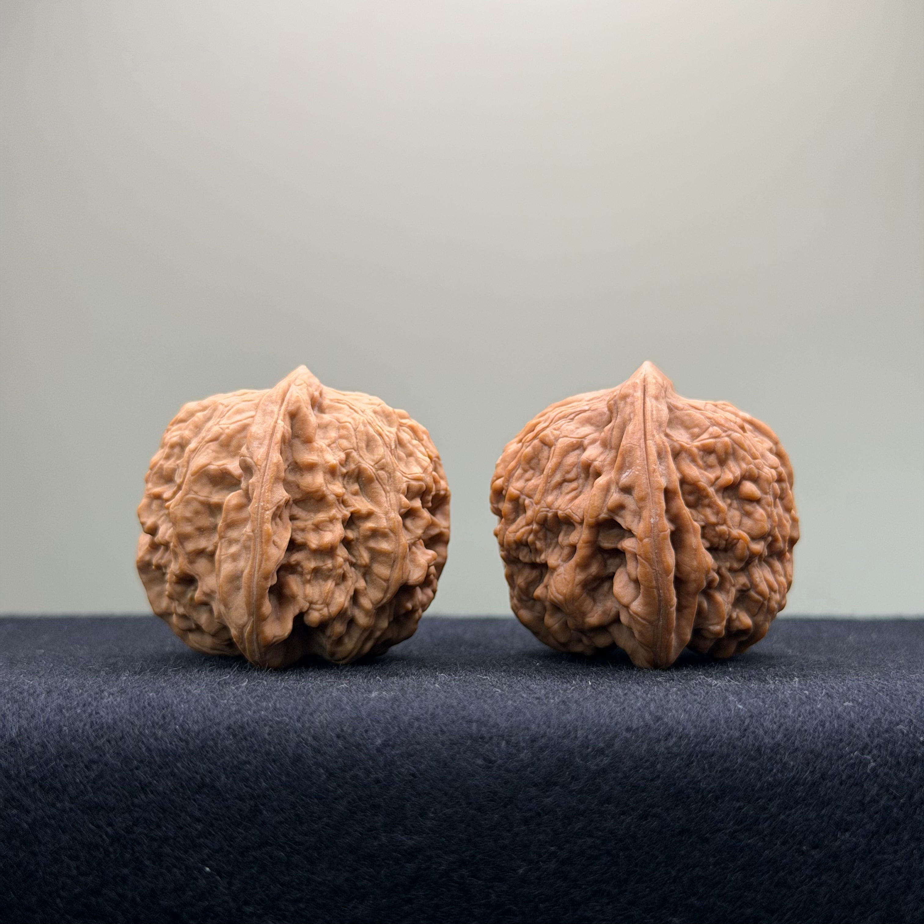 Ant Valley Wenwan Walnut · 36mm · Natural · Entry Ritual