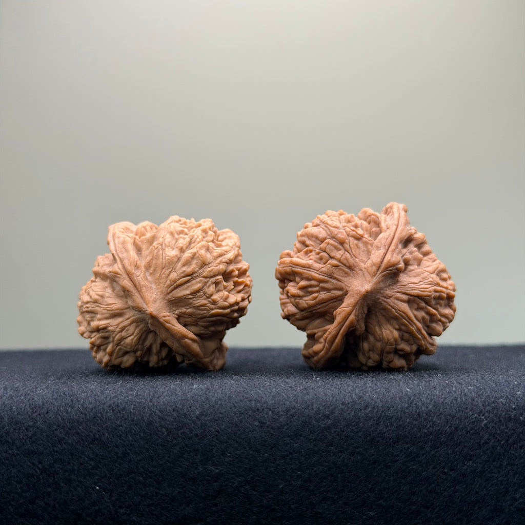Ant Valley Wenwan Walnut · 36mm · Natural · Entry Ritual