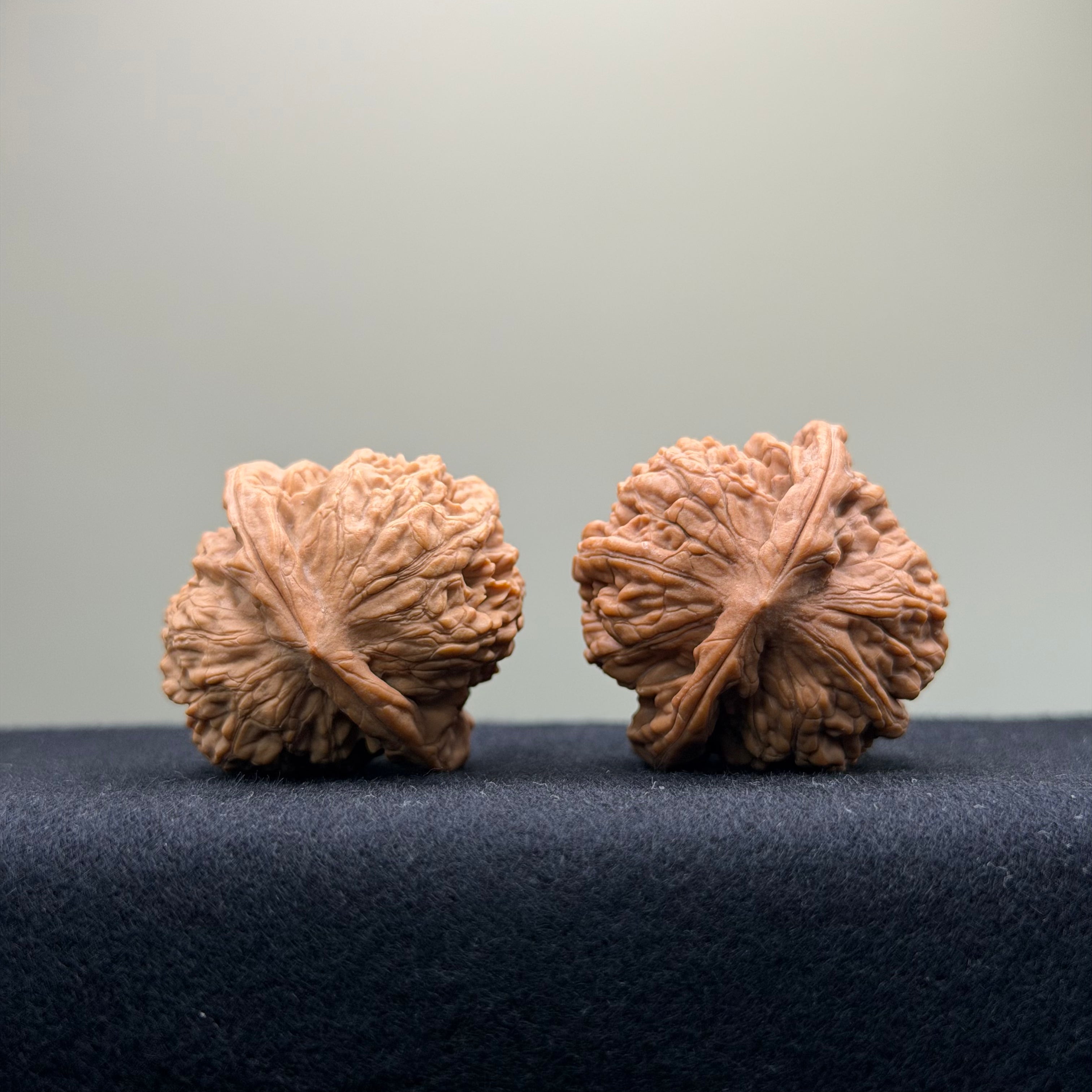 Ant Valley Wenwan Walnut · 36mm · Natural · Entry Ritual