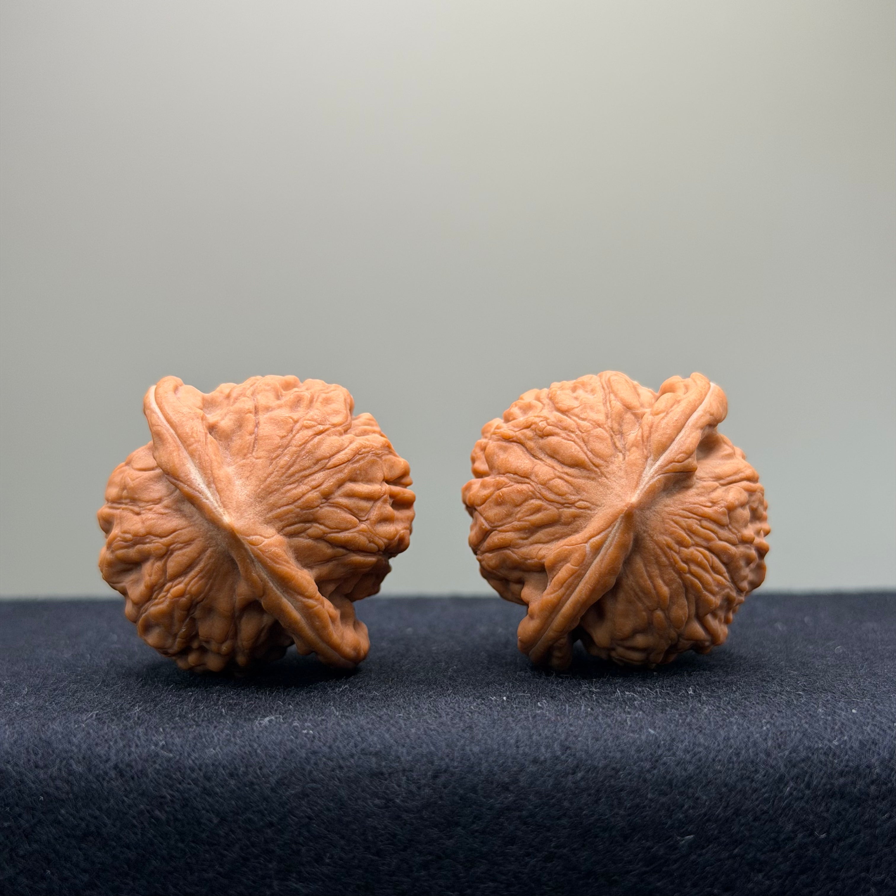 Small Red Robe Wenwan Walnut · 37mm · Natural · Premium Ritual