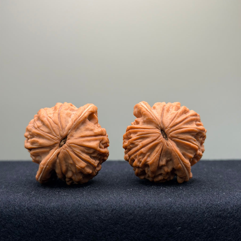 Small Red Robe Wenwan Walnut · 37mm · Natural · Premium Ritual