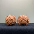 Qibugou Official Hat Wenwan Walnut · 35mm · Select Ritual