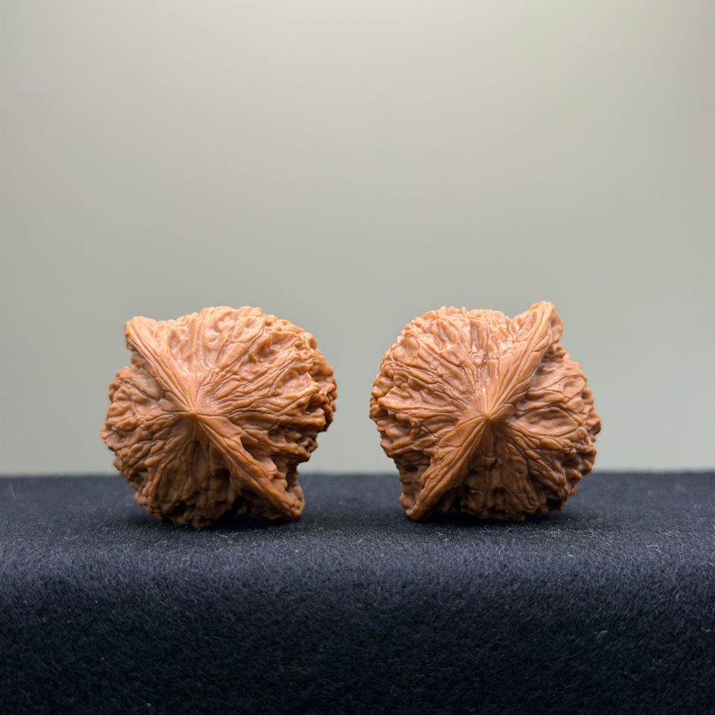 Qibugou Official Hat Wenwan Walnut · 35mm · Select Ritual