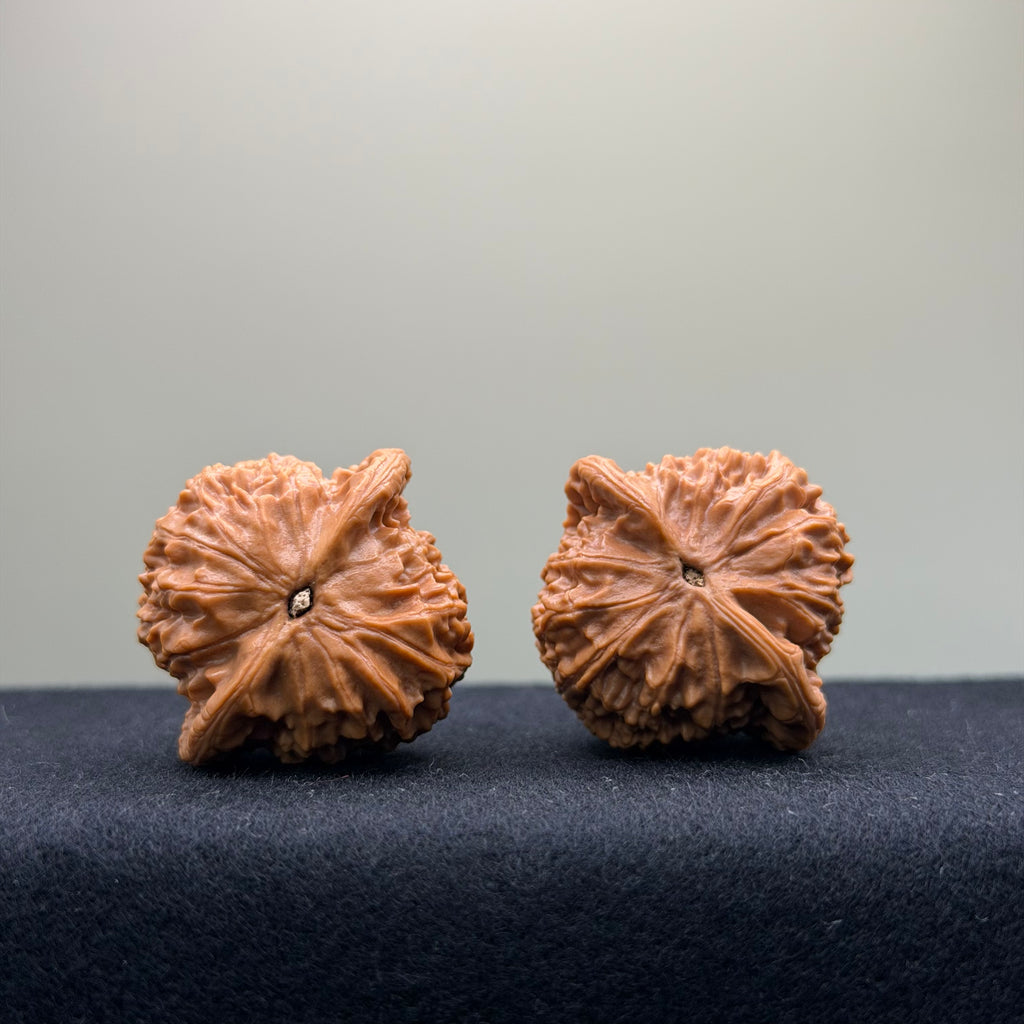 Qibugou Official Hat Wenwan Walnut · 35mm · Select Ritual