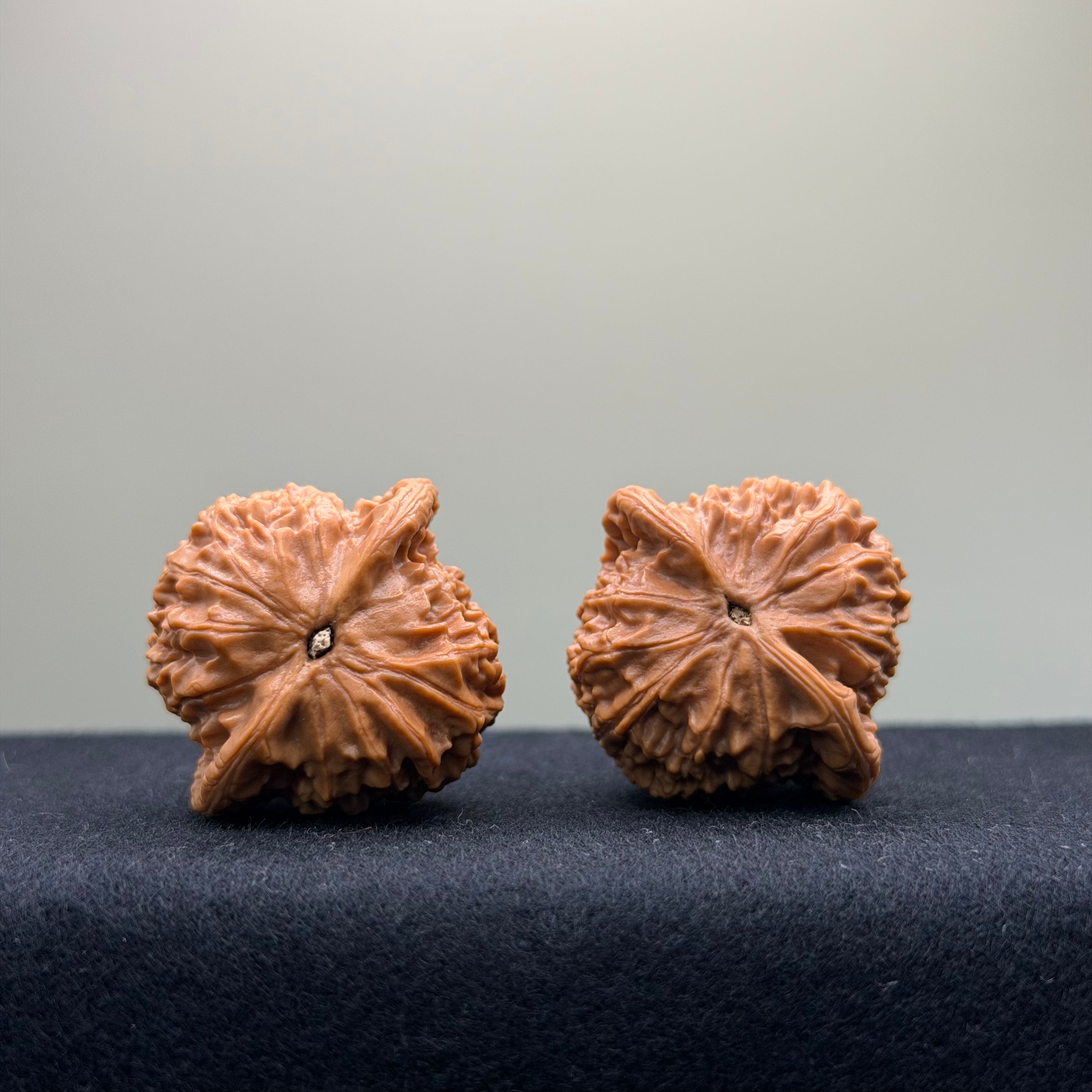 Qibugou Official Hat Wenwan Walnut · 35mm · Select Ritual