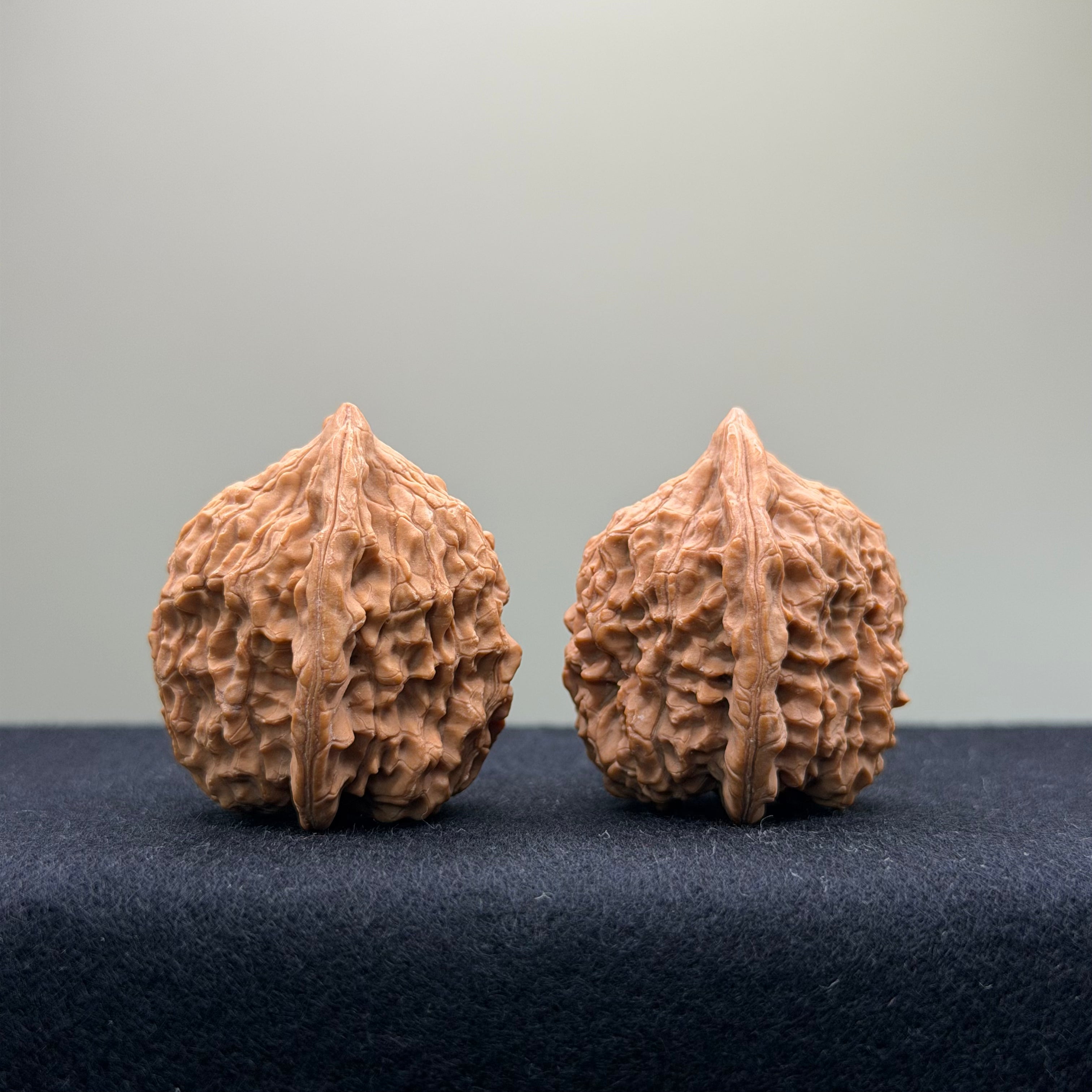 Vermilion Bird (Rosefinch) Wenwan Walnut · 32mm · Natural · Select Ritual