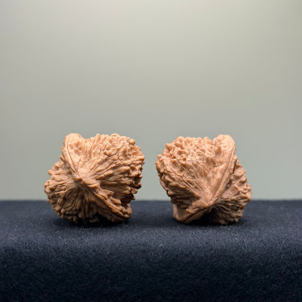 Vermilion Bird (Rosefinch) Wenwan Walnut · 32mm · Natural · Select Ritual