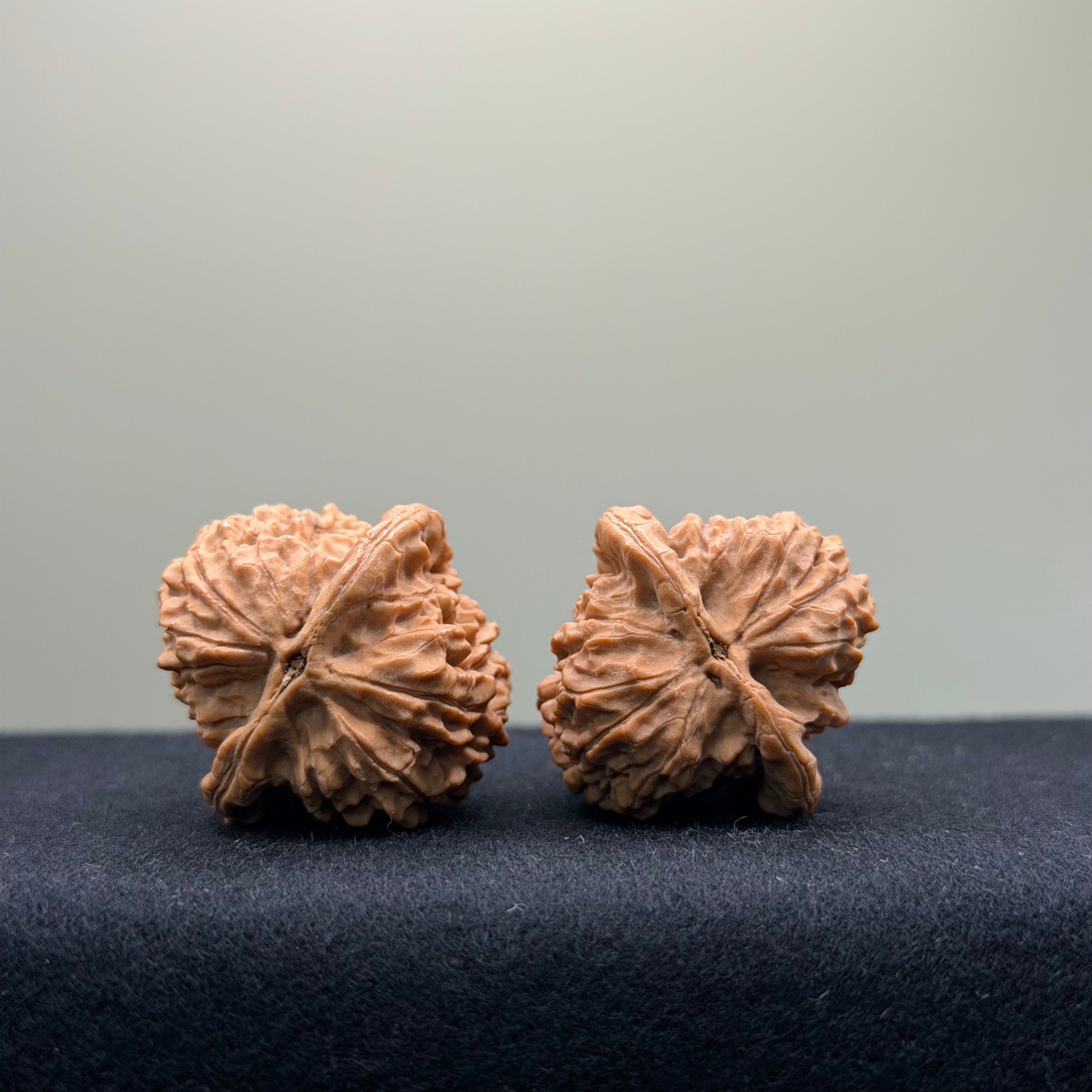 Vermilion Bird (Rosefinch) Wenwan Walnut · 32mm · Natural · Select Ritual