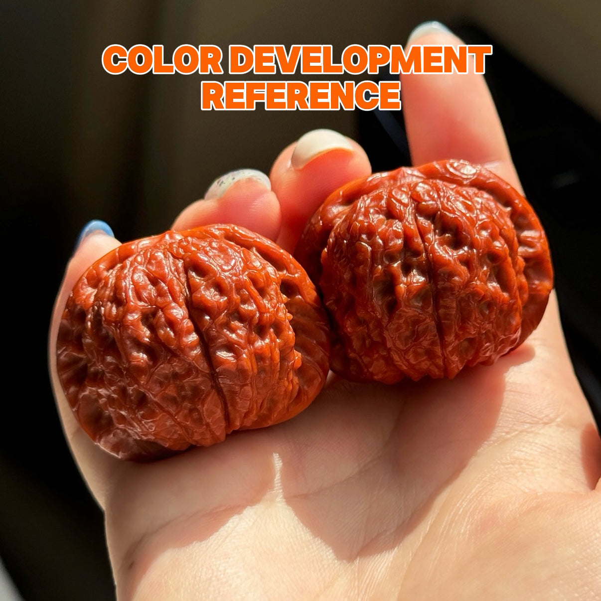 Blood Kirin Wenwan Walnut · 36mm · Entry Ritual