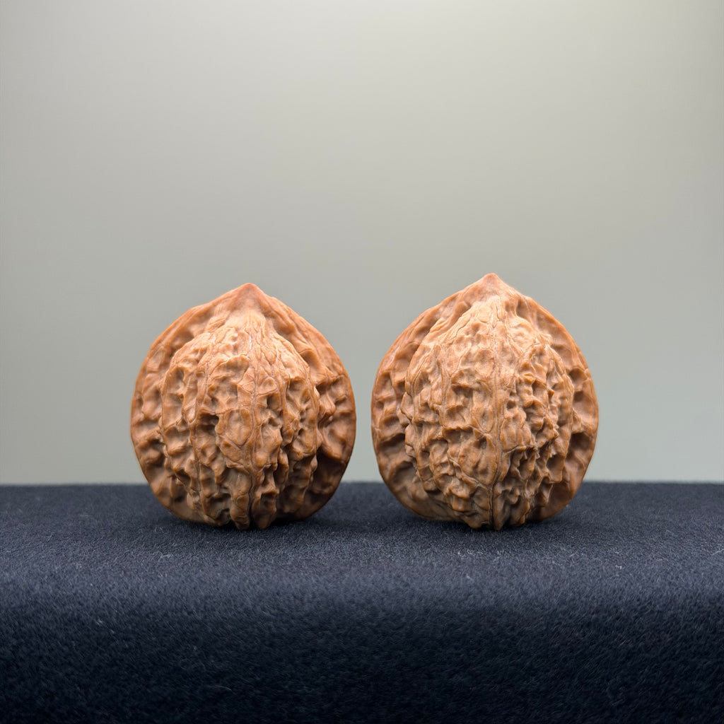 Taurus Wenwan Walnut · 36mm · Natural · Select Ritual