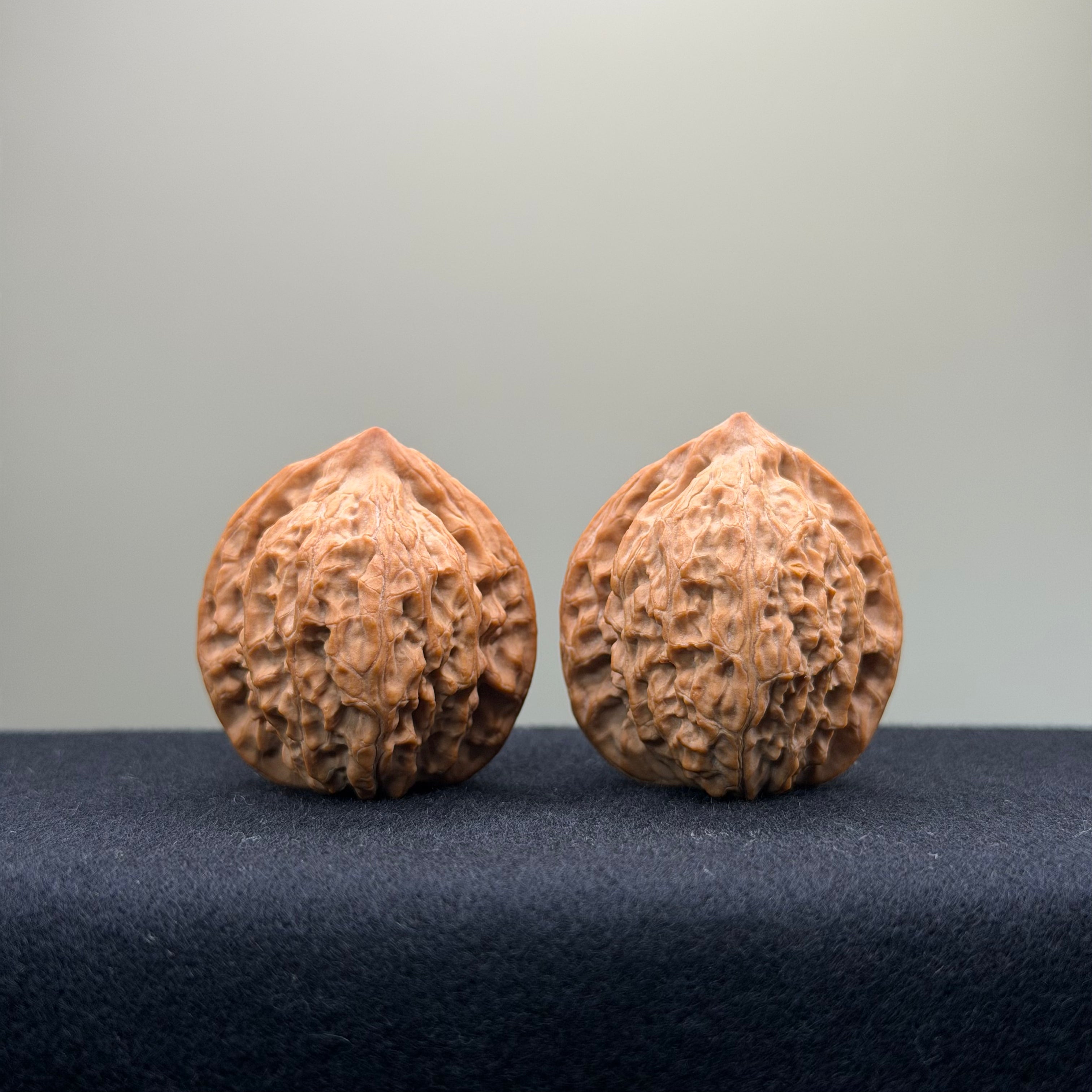 Taurus Wenwan Walnut · 36mm · Natural · Select Ritual