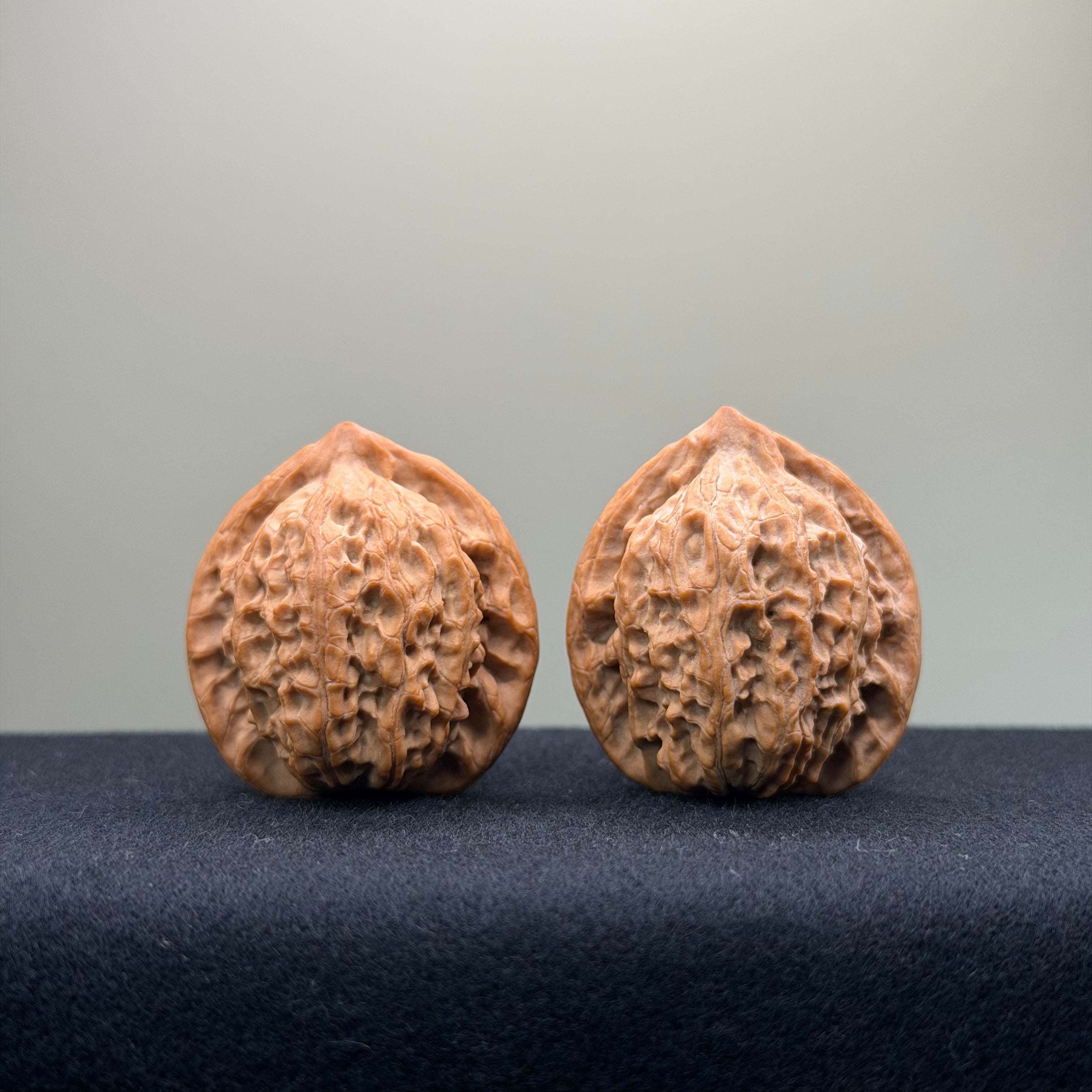 Taurus Wenwan Walnut · 36mm · Natural · Select Ritual