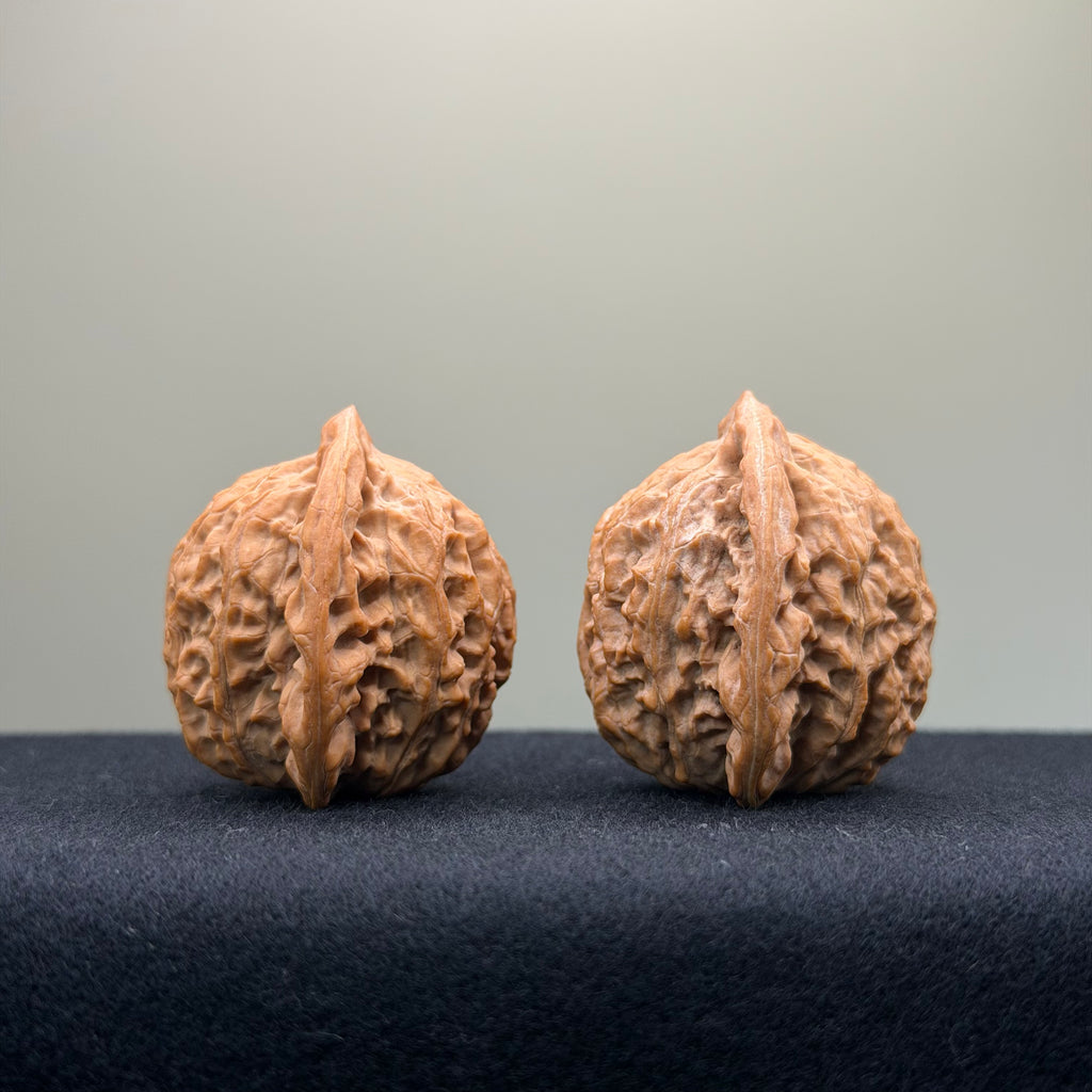 Taurus Wenwan Walnut · 36mm · Natural · Select Ritual