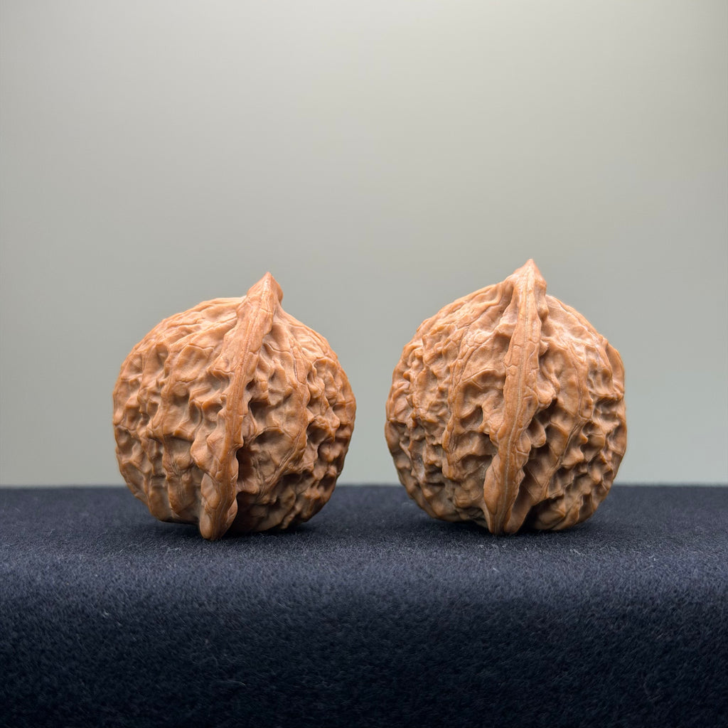 Taurus Wenwan Walnut · 36mm · Natural · Select Ritual