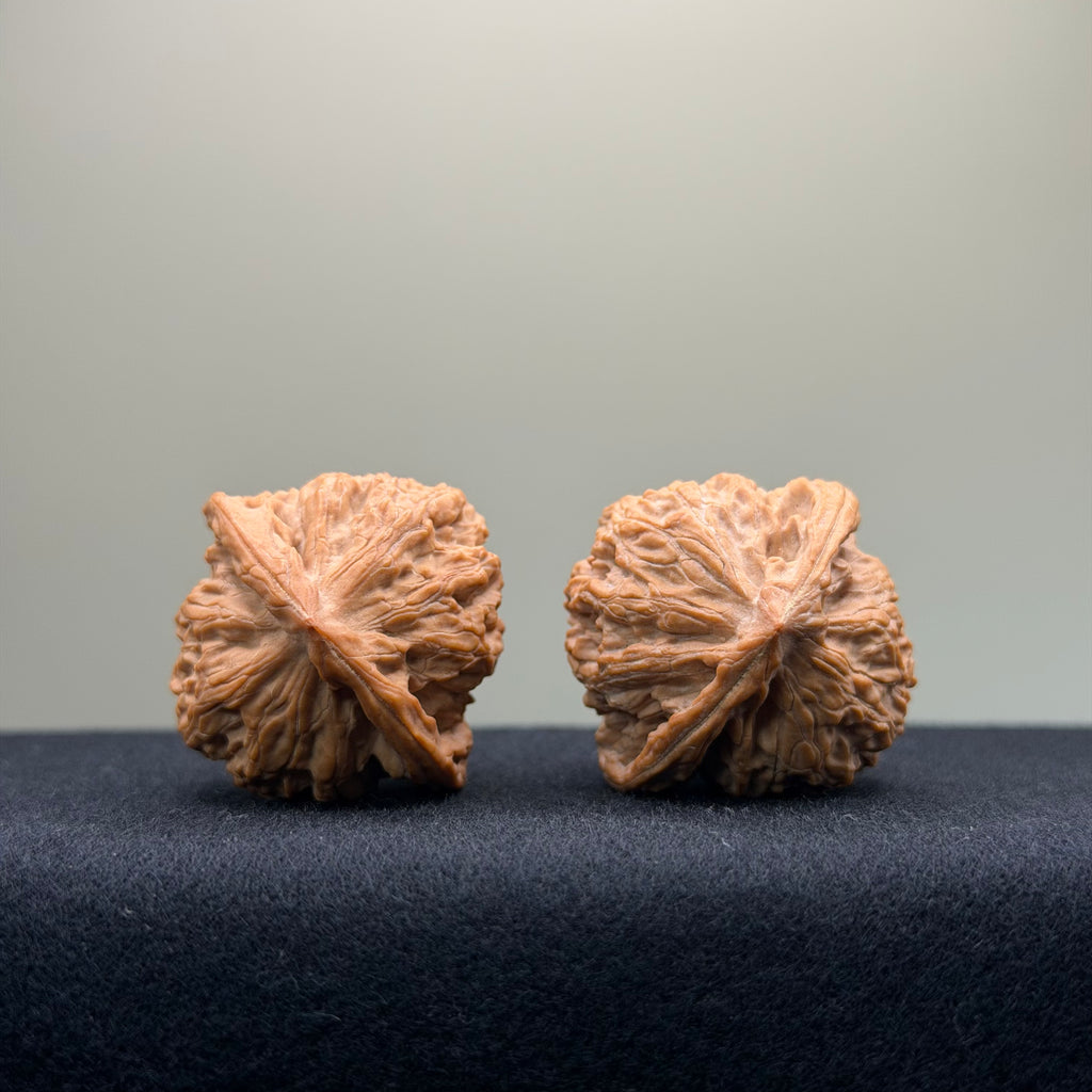 Taurus Wenwan Walnut · 36mm · Natural · Select Ritual