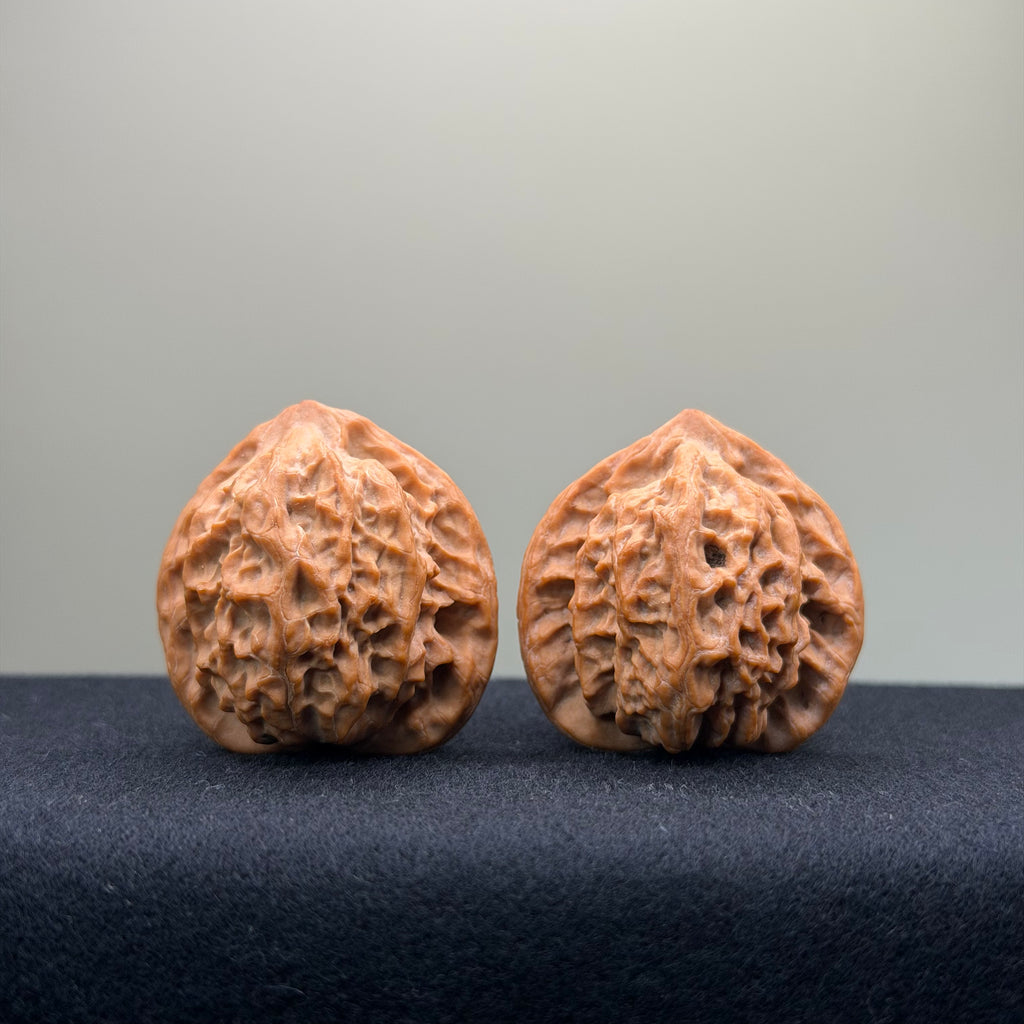 Taurus Wenwan Walnut · 35mm · Natural · Select Ritual