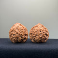 Taurus Wenwan Walnut · 35mm · Natural · Select Ritual