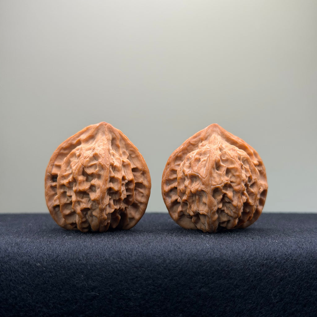 Taurus Wenwan Walnut · 35mm · Natural · Select Ritual