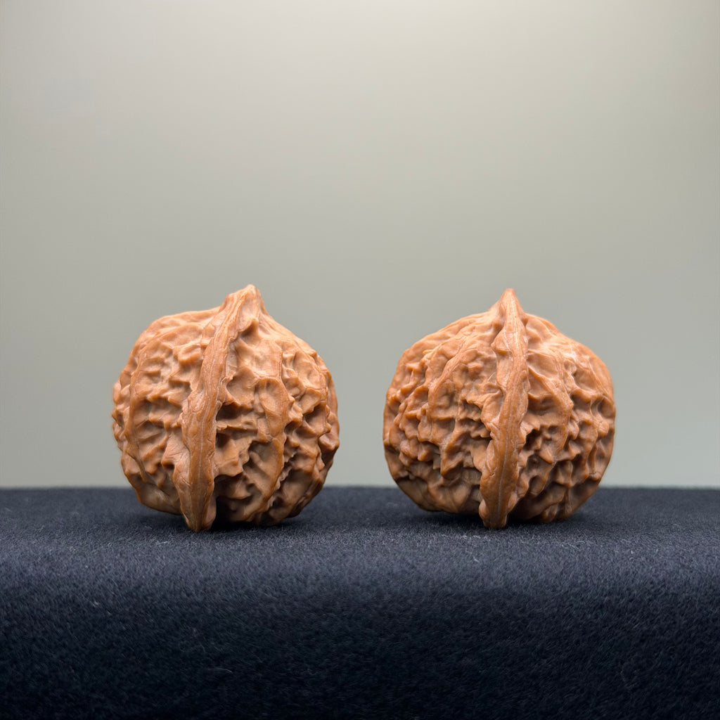 Taurus Wenwan Walnut · 35mm · Natural · Select Ritual