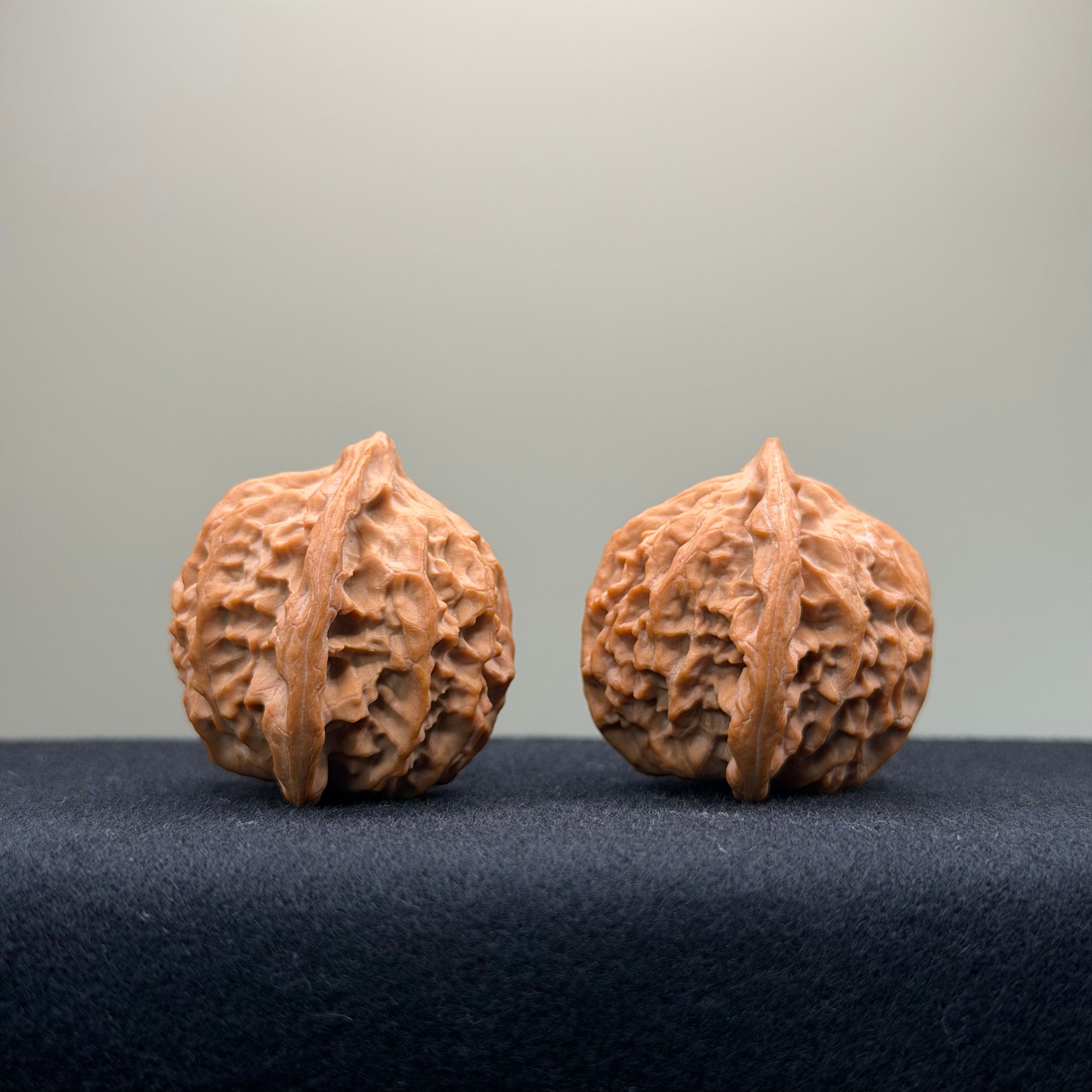 Taurus Wenwan Walnut · 35mm · Natural · Select Ritual