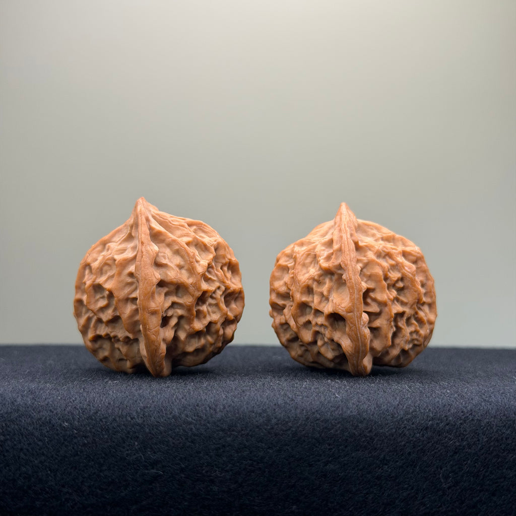 Taurus Wenwan Walnut · 35mm · Natural · Select Ritual